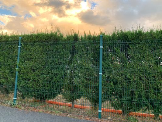 Bảo mật hàn lưới dây chuyền hàng rào lớp phủ ăn mòn 3d bảng điều khiển