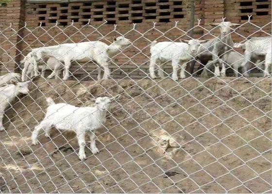 14 Gauge 6 Gauge kim loại chuỗi liên kết hàng rào thép carbon thấp