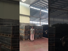 Clear View Trellis Spikes Security 358 Hàng rào chống trèo