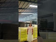 Rào chắn bảo vệ cạnh chống va đập với đường ray giữa được gia cố