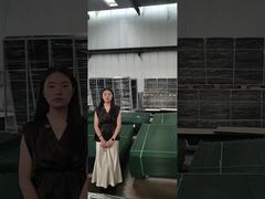 Hàng rào Clear View Hàng rào an ninh chống trèo làm hàng rào pallet